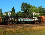 CSX 483166